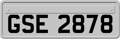 GSE2878