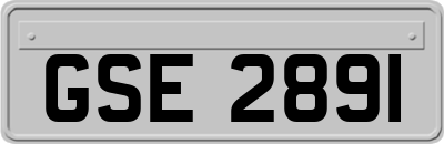 GSE2891
