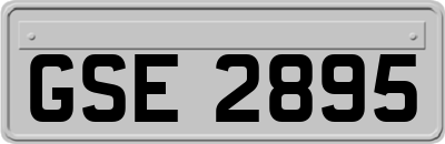 GSE2895