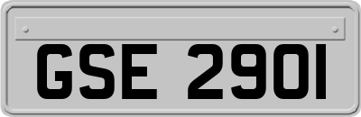 GSE2901