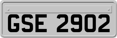 GSE2902