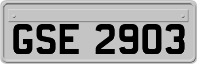 GSE2903