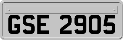 GSE2905