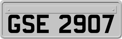 GSE2907