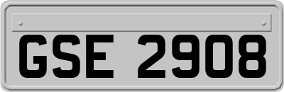 GSE2908