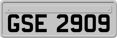 GSE2909