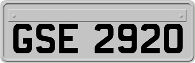 GSE2920