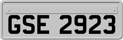 GSE2923