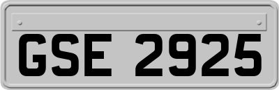 GSE2925