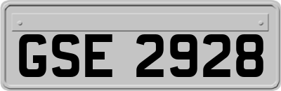 GSE2928