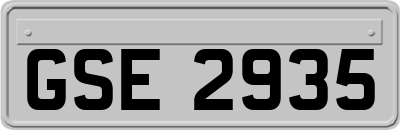 GSE2935