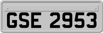 GSE2953