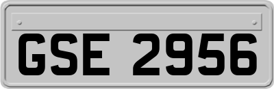 GSE2956