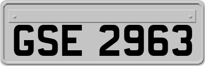 GSE2963