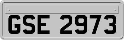 GSE2973
