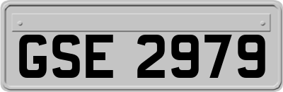 GSE2979