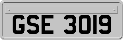 GSE3019