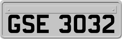 GSE3032