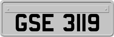 GSE3119