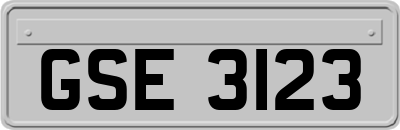 GSE3123