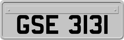 GSE3131