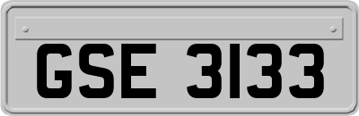 GSE3133