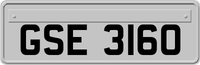 GSE3160