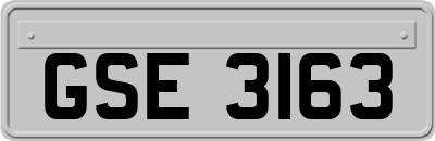 GSE3163