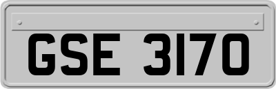 GSE3170