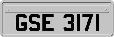 GSE3171