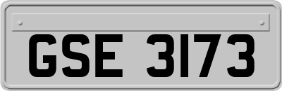 GSE3173
