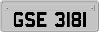 GSE3181