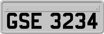 GSE3234
