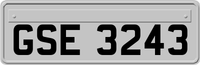 GSE3243