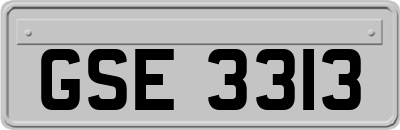 GSE3313