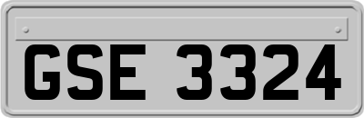 GSE3324