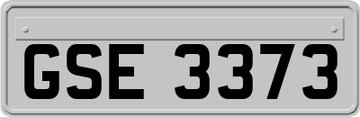 GSE3373