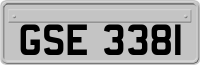 GSE3381