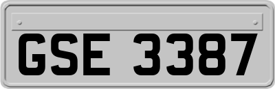 GSE3387