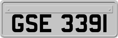 GSE3391