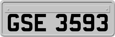 GSE3593