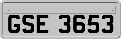 GSE3653