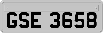 GSE3658