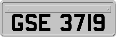 GSE3719