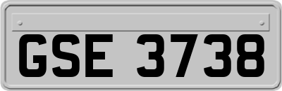 GSE3738