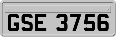 GSE3756