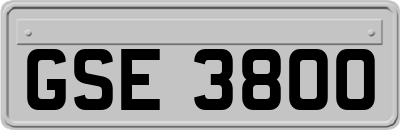 GSE3800
