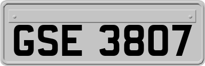 GSE3807