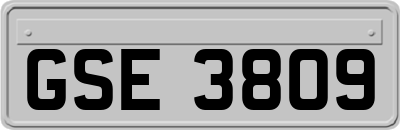 GSE3809