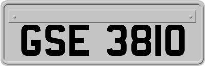 GSE3810